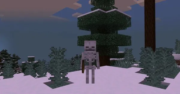 Skeleton