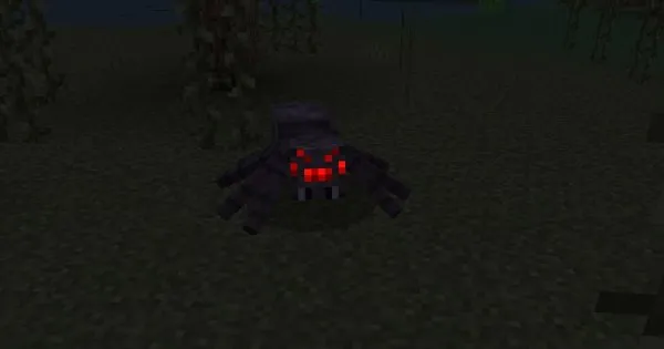 Spider