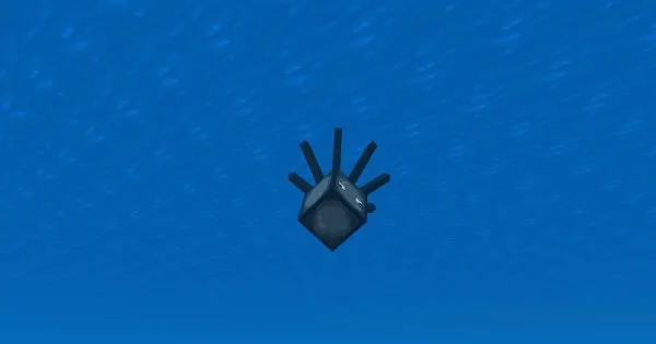 Squid