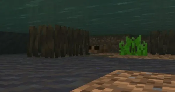 Tadpole