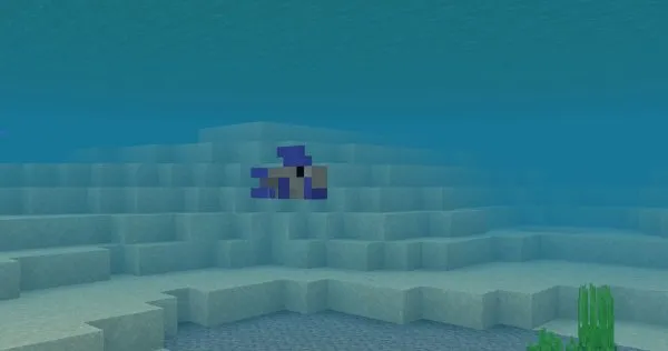 Tropical Fish