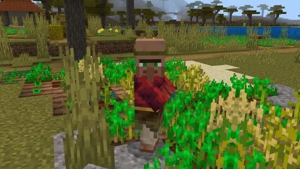 Villager