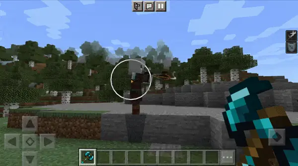 Echo attack animated