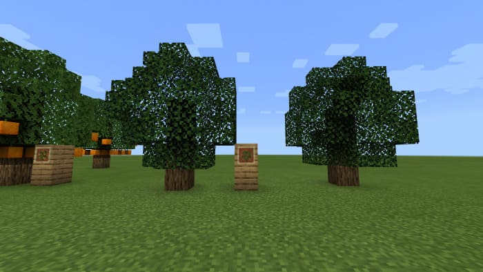 Dynamic trees 1.20. Мод на деревья. Оливковое дерево майнкрафт мод. Мод на улучшенное фермерство в майнкрафт. Новые деревья в майнкрафт.