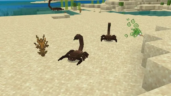 Baby Scorpions