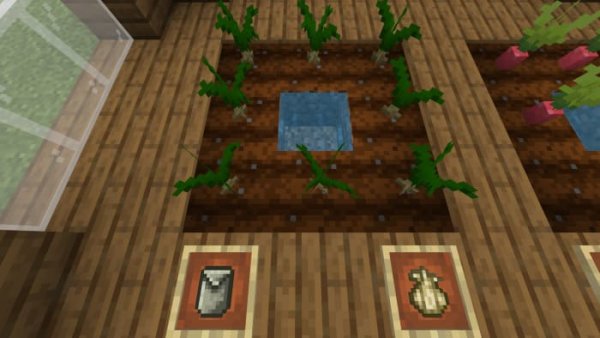 Garlic crops and items