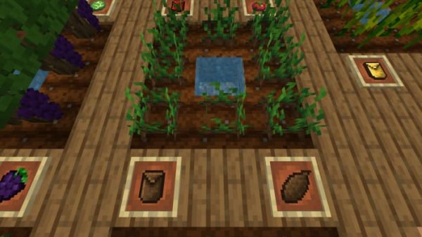Sweet Potato crops and items