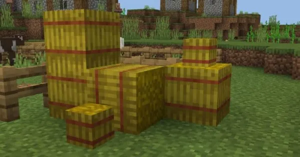 Mini hay blocks.