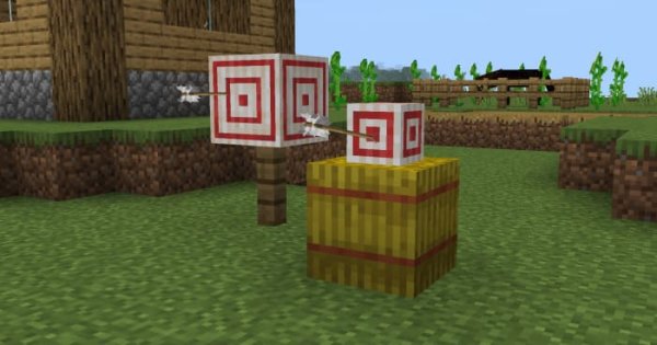 Mini target blocks.