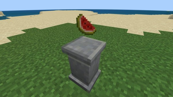 Melon on the Item Pedestal.