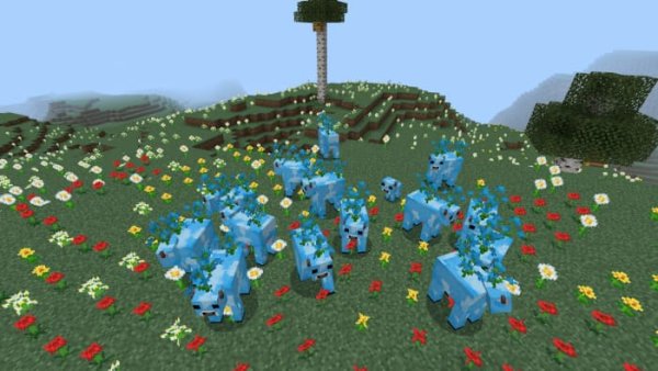 Blue Orchid cows