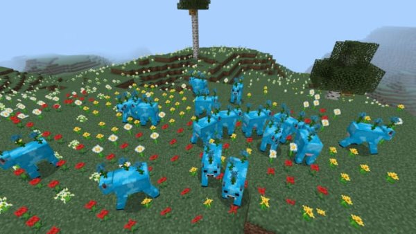 Blue Rose cows