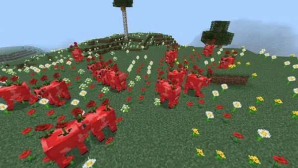 Poppy cows
