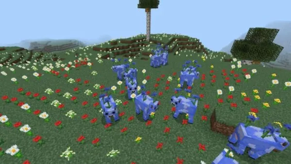 Cornflower cows