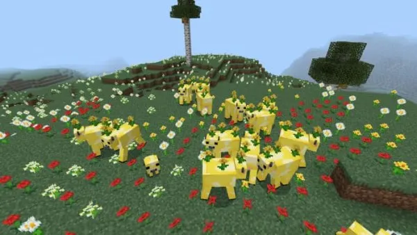 Dandelion cows