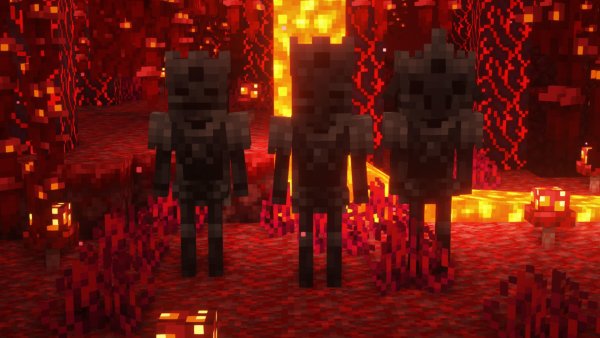 Wither Skeletons 1