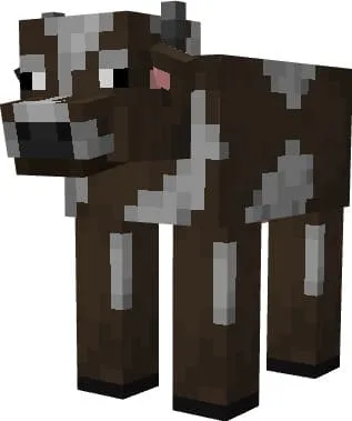 New cow model.