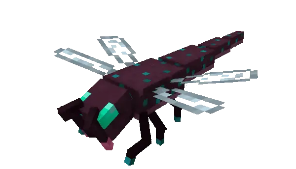 Dragonfly.