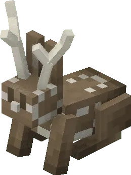 Rabbiteer.