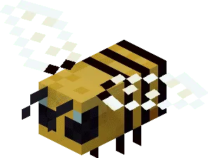 Wasp.