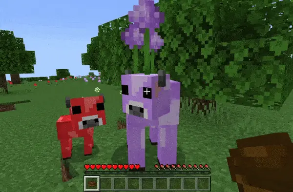 Getting Suspicious stew from a cow