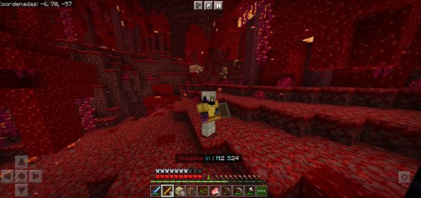 The player went down to Nether