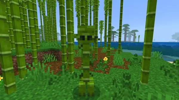 Bamboo creeper
