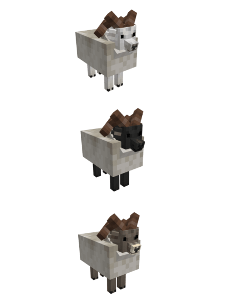 Sheep color variants