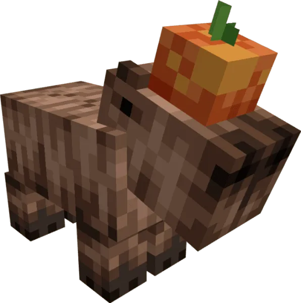 Capybara with fruit