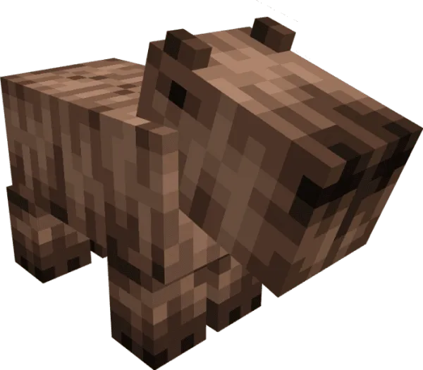 Default Capybara