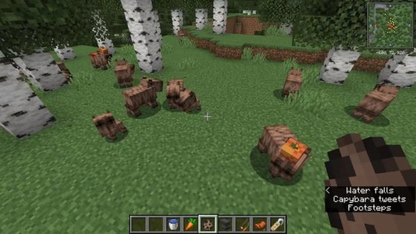 Capybaras with a resource pack