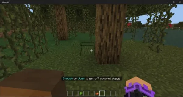 The Player is Sitting on a Capybara