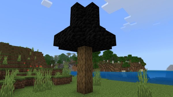 Coal tree