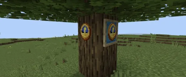 Showcase for colored and invisible item frames.