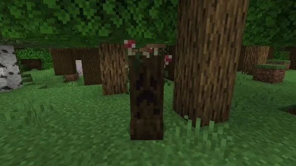Dark oak creeper