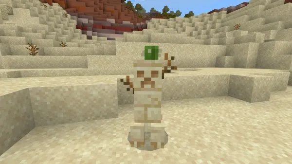 Desert creeper