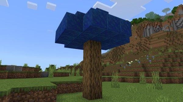 Lapis tree