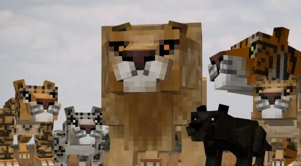 Big Cats Variants