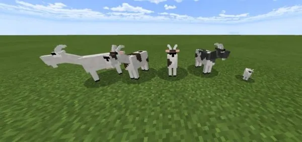 Goat Variants