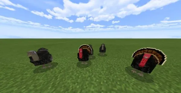 Turkey Variants