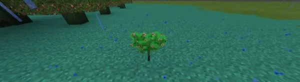 Planting a Mystic Tree