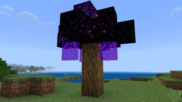 Obsidian tree