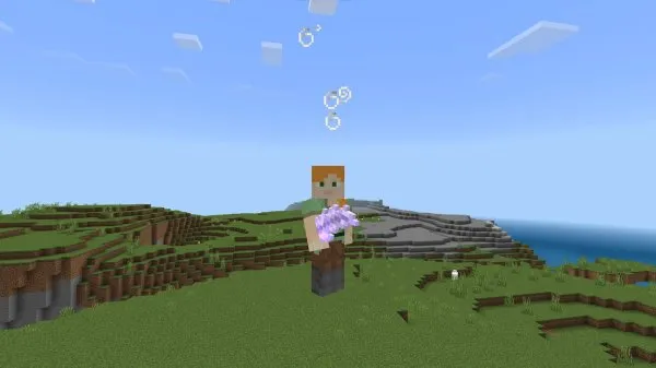 Magic Feather Usage