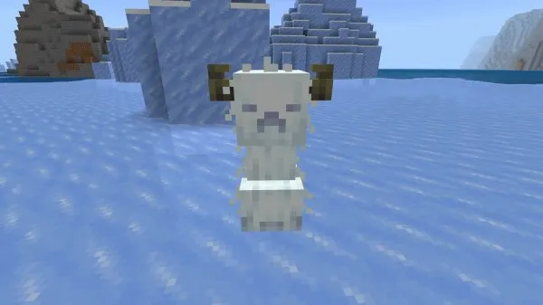 Snowy creeper