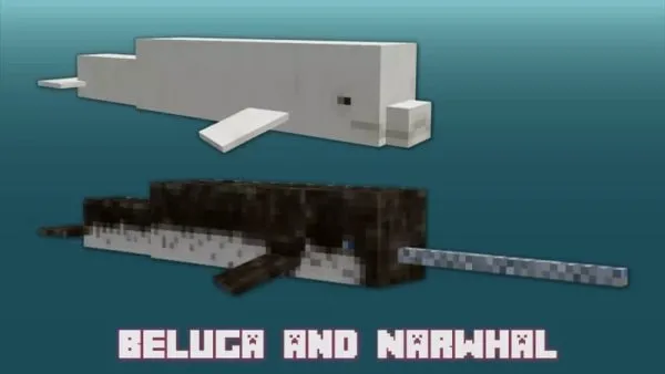 Beluga nd Narwhal