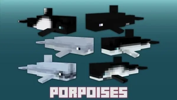 Porpoises animals