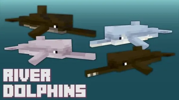 River dolphins