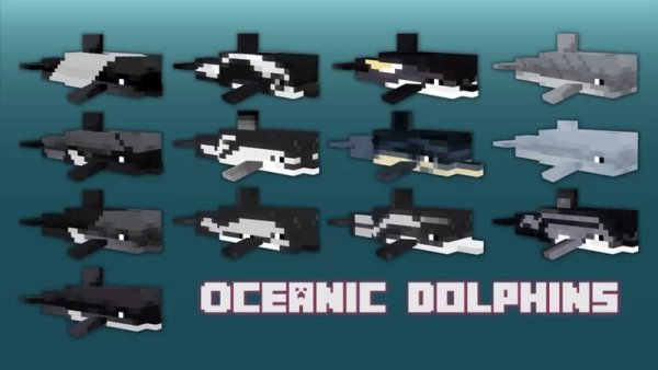 Oceanic dolphins
