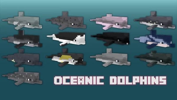 Various types of oceanic dolphins