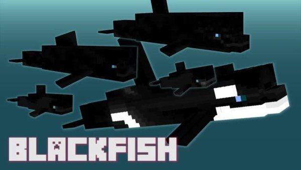 Blackfish model